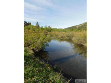 (private lake, pond, creek) Acreage For Sale in Island Park Idaho