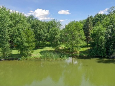Lake Lot For Sale in Corinna Twp, Minnesota