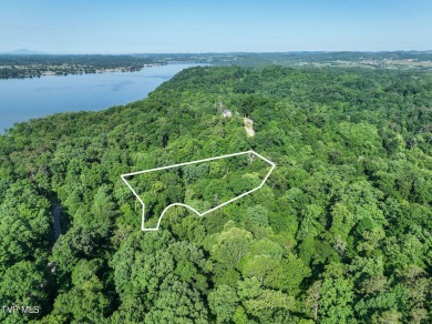 Lake Lot For Sale in White Pine, Tennessee