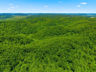 Welcome to a once-in-a-lifetime opportunity in the heart of - photo 43