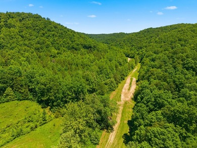 Welcome to a once-in-a-lifetime opportunity in the heart of - photo 45