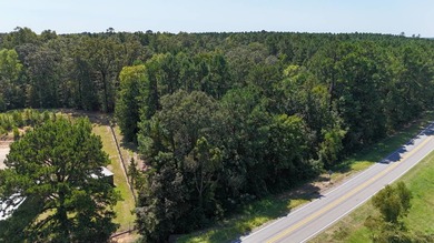 Commercial building on 4+/- acres on Hwy 191 near Negreet, LA - photo 20
