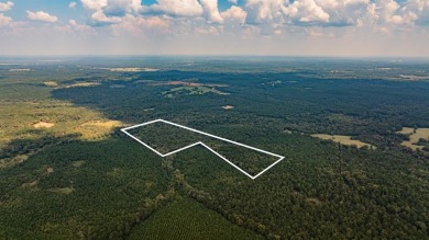 Lake Acreage For Sale in Avinger, Texas
