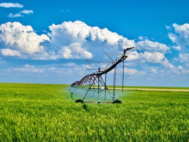 (private lake, pond, creek) Acreage For Sale in Valier Montana