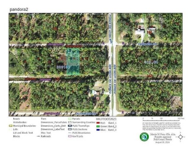 Lake Weohyakapka Lot For Sale in Indian Lake Estates Florida