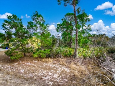 Lake Chilton Lot For Sale in Avon Park Florida