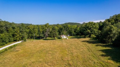 (private lake, pond, creek) Home For Sale in Chadwick Missouri