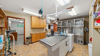 For Sale: Established Veterinary Clinic with Endless Potential - photo 26