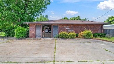 For Sale: Established Veterinary Clinic with Endless Potential - photo 46