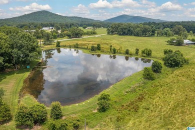 Rare find in St. Clair County!! 92.72+/- acres,A Multi home - photo 11