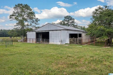Rare find in St. Clair County!! 92.72+/- acres,A Multi home - photo 13
