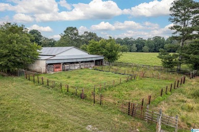 Rare find in St. Clair County!! 92.72+/- acres,A Multi home - photo 14