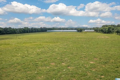 Rare find in St. Clair County!! 92.72+/- acres,A Multi home - photo 15