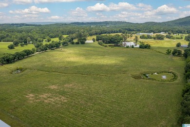 Rare find in St. Clair County!! 92.72+/- acres,A Multi home - photo 16