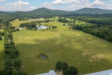 Rare find in St. Clair County!! 92.72+/- acres,A Multi home - photo 17
