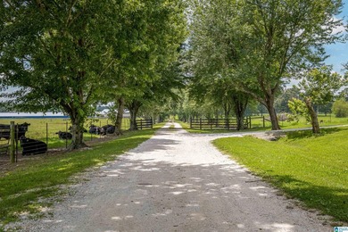 Rare find in St. Clair County!! 92.72+/- acres,A Multi home - photo 18