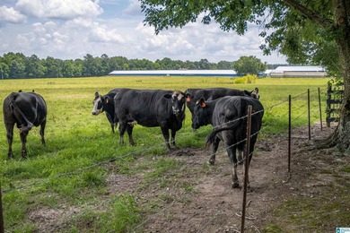 Rare find in St. Clair County!! 92.72+/- acres,A Multi home - photo 21