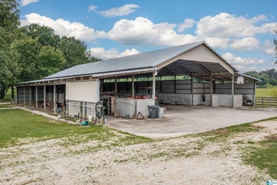Rare find in St. Clair County!! 92.72+/- acres,A Multi home - photo 22