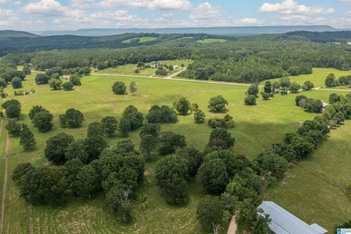 Rare find in St. Clair County!! 92.72+/- acres,A Multi home - photo 23