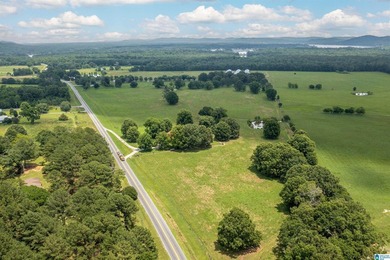 Rare find in St. Clair County!! 92.72+/- acres,A Multi home - photo 24