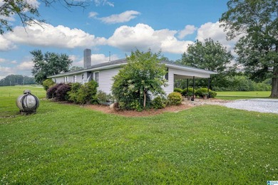 Rare find in St. Clair County!! 92.72+/- acres,A Multi home - photo 27