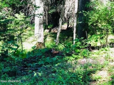 Three of the nicest lots in Black Lake Shores: Secondary - photo 1