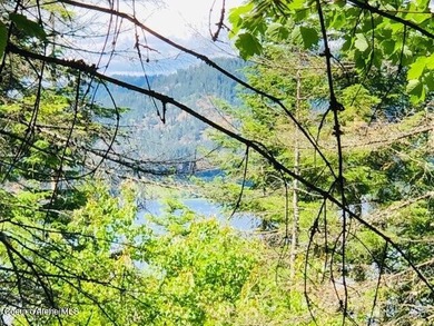Three of the nicest lots in Black Lake Shores: Secondary - photo 3