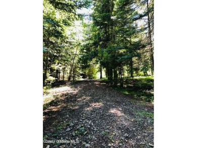 Three of the nicest lots in Black Lake Shores: Secondary - photo 4