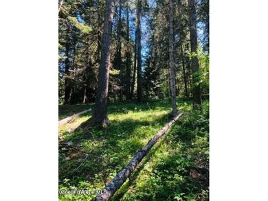 Three of the nicest lots in Black Lake Shores: Secondary - photo 5