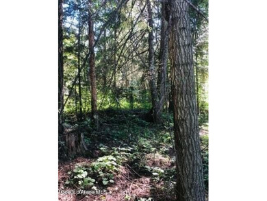 Three of the nicest lots in Black Lake Shores: Secondary - photo 6