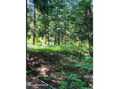 Three of the nicest lots in Black Lake Shores: Secondary - photo 8