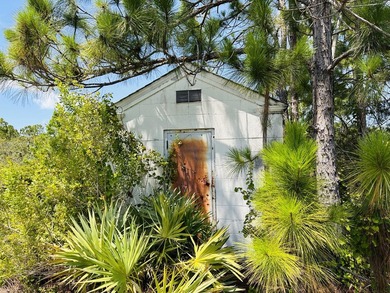 One of the most unique homesites in St Lucie County! 80 x 126.5 - photo 11