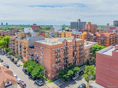 Experience refined living in the heart of Flushing. This elegant - photo 12