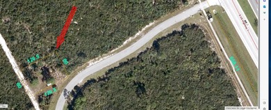 One of the most unique homesites in St Lucie County! 80 x 126.5 - photo 16