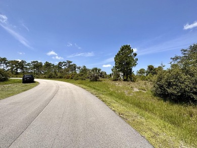 One of the most unique homesites in St Lucie County! 80 x 126.5 - photo 22