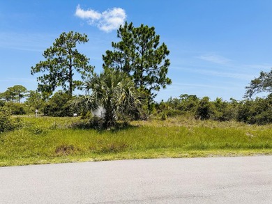 One of the most unique homesites in St Lucie County! 80 x 126.5 - photo 23
