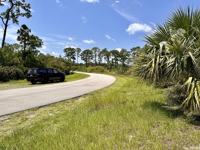 One of the most unique homesites in St Lucie County! 80 x 126.5 - photo 26