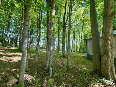Enjoy country living on just under two acres with a beautiful - photo 44