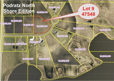 Lake Acreage For Sale in Gaylord, Minnesota