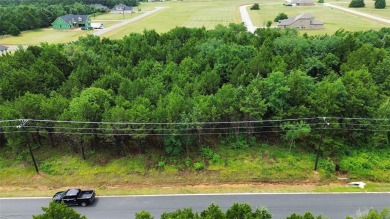 Lake Lot For Sale in Gordonville, Texas