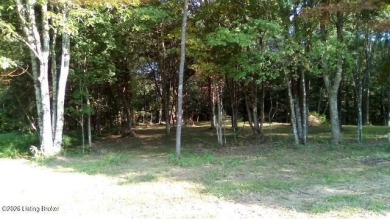 Land for sale - photo 4