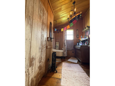 SPRING RIVER FRONT HOME - Rustic 3 bedroom, 2 bath home on - photo 13