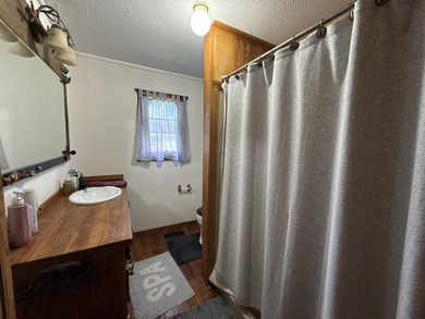 SPRING RIVER FRONT HOME - Rustic 3 bedroom, 2 bath home on - photo 17
