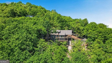 Only 1,000 feet from the summit of Mt. Oglethorpe, this home - photo 8
