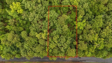 Tucked beneath a canopy of mature trees, this beautiful .33-acre - photo 12