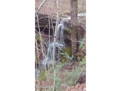 Land for sale - photo 7