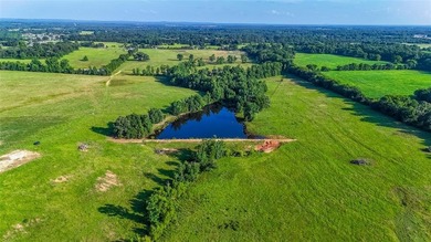 Lake Acreage For Sale in Pittsburg, Texas