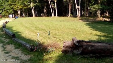 Land for sale - photo 3