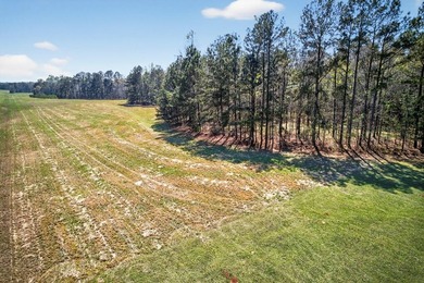 Absolutely stunning property located in Deerfield Landing! The - photo 12