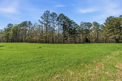 Absolutely stunning property located in Deerfield Landing! The - photo 15